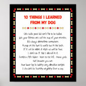 Funny Things I Learned From My Dog ポスター (正面)