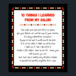 Funny Things I Learned From My Saluki ポスター<br><div class="desc">Just think of all the interesting things you could learn from your Saluki! This humorous design, accented with dog bone and red ball toy shapes, captures ten of the most important life lessons your dog could teach you! Cats taste good, but don’t like to be tasted. Lick your friends and...</div>