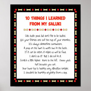 Funny Things I Learned From My Saluki ポスター