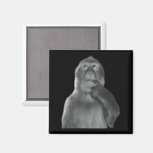 Funny Thinking Monkey Meme Curious Ape Brainrot  マグネット (正面/裏面)