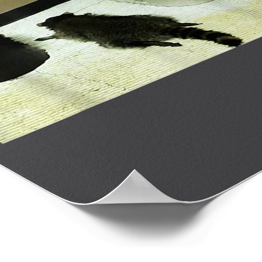 Funny Trashed Panda Drunk Racoon  ポスター (角)