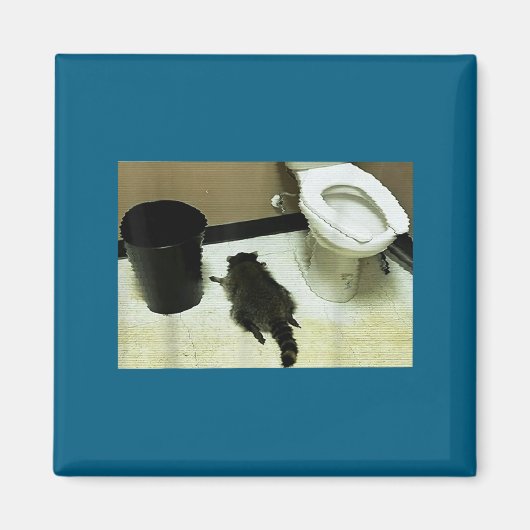 Funny Trashed Panda Drunk Racoon マグネット (正面)