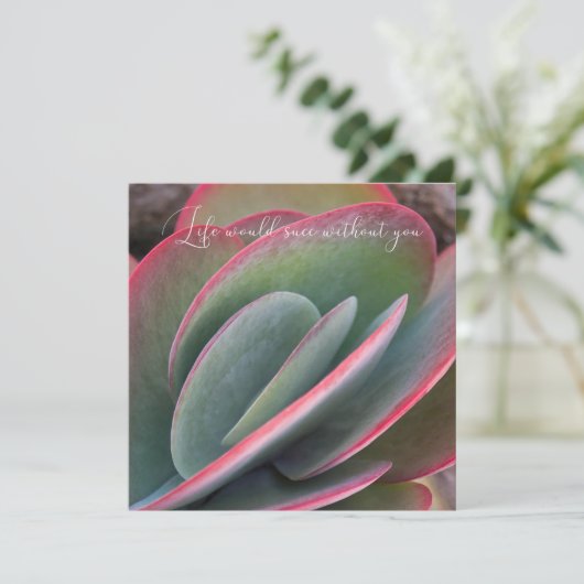 Funny Valentine's Day Card シーズンカード (スタンド正面)