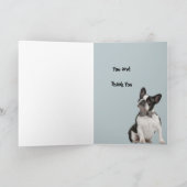 Funny Veterinarian Asst Thank You  Boston Terrier カード (内部)