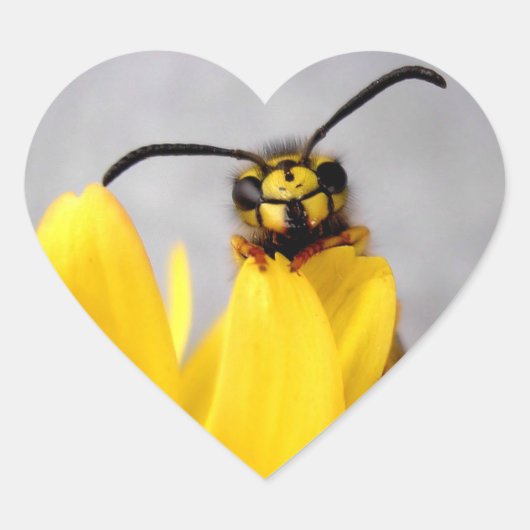 Funny Wasp Sticker ハートシール (正面)