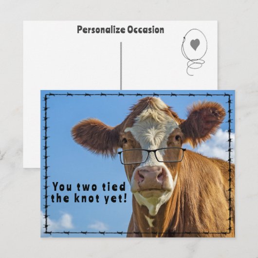 Funny Western Cow Marriage Joke Ranch & Farm Style シーズンポストカード (正面/裏面)