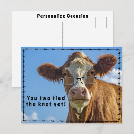 Funny Western Cow Marriage Joke Ranch & Farm Style ポストカード (正面/裏面)