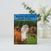 Funny Western Cow Selfie Joke Ranch & Farm Style シーズンポストカード (スタンド正面)