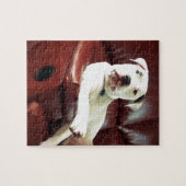 funny white pit bull dog on the couch ジグソーパズル (横)