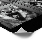 Funny Wolf Photo Booth Sungles Dog  ポスター (角)