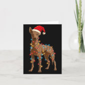 Funny Xoloitzcuintli Christmas Graphic Dog Lights  カード (正面)