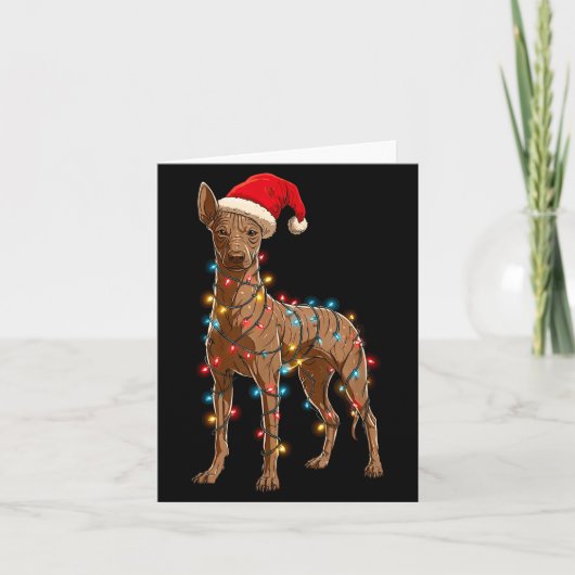 Funny Xoloitzcuintli Christmas Graphic Dog Lights  カード (正面)