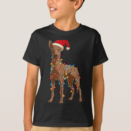 Funny Xoloitzcuintli Christmas Graphic Dog Lights Tシャツ (正面)