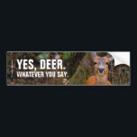 Funny Young Blacktail Deer Smiles at Photographer バンパーステッカー<br><div class="desc">Add a touch of nature and whimsy to your wheels with this customizable wildlife-themed bumper sticker! My second visit to the Maplewood Conservation Area in North Vancouver produced meetings with not two, but six blacktail deer in a clearing ... four fawns and two does who seemed completely at ease with...</div>