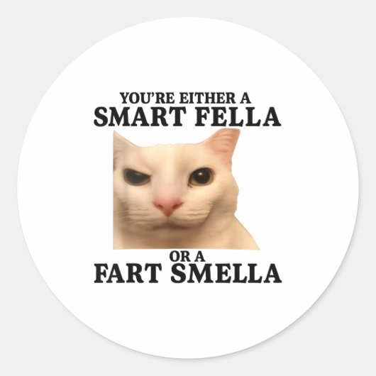 Funny You're Either A Smart Fella Or A Fart Smella ラウンドシール (正面)