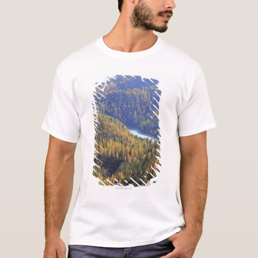 Fuornのパス2 Tシャツ (正面)