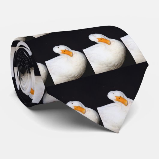 Fupedのアヒル ネクタイ (ロール)