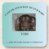 Fur Baby Cancer Survivor Hope Design コースター (正面)