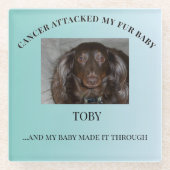 Fur Baby Light & Healing Tribute ガラスコースター (正面)