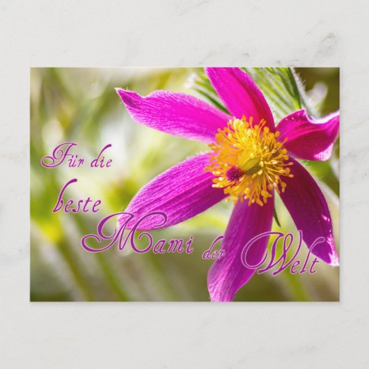 Für die beste Mami der Welt! ポストカード (正面)