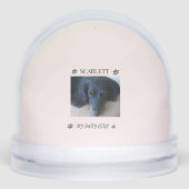 Fur-filled Sunshine Holiday Tribute (正面)