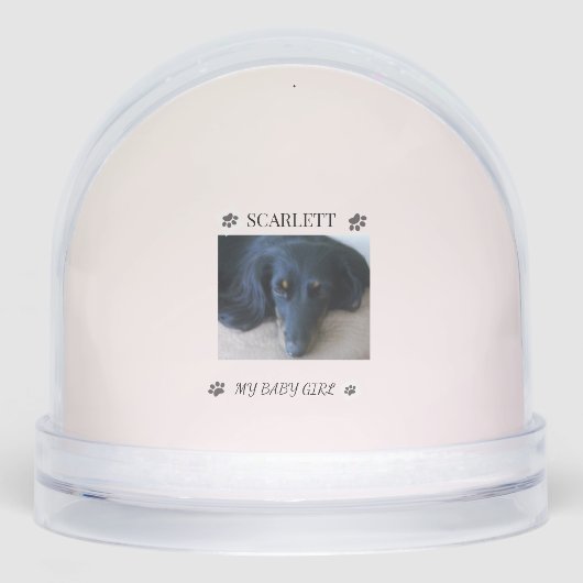 Fur-filled Sunshine Holiday Tribute (正面)