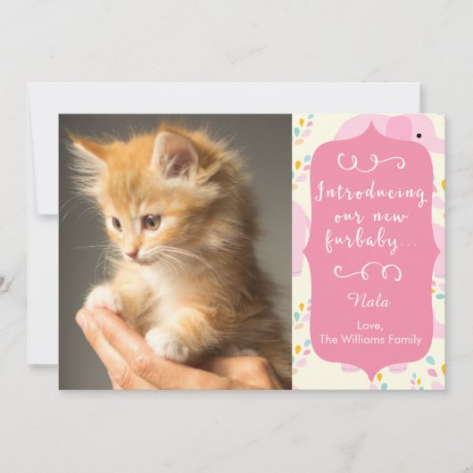 Furbabyのピンクの新しい発表 案内状 (正面)