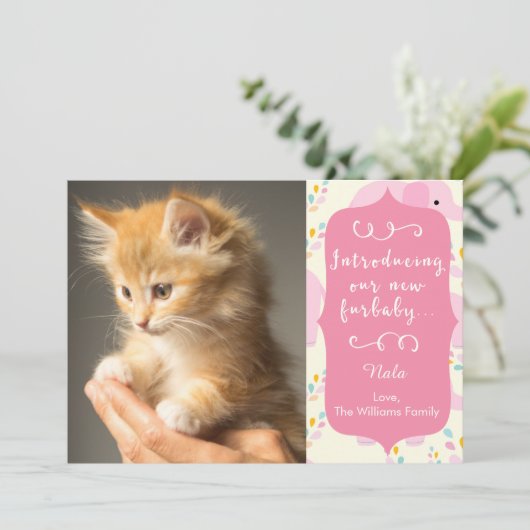 Furbabyのピンクの新しい発表 案内状 (スタンド正面)