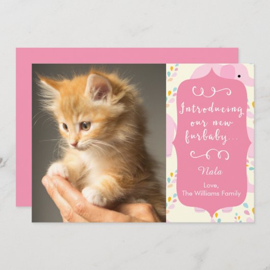 Furbabyのピンクの新しい発表 案内状 (正面/裏面)