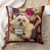 Furerver Friends Decorペット枕 クッション (ブランケット)