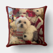 Furerver Friends Decorペット枕 クッション (裏面)