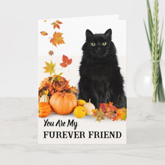 Furever Friend黒猫と可愛いハロウィン カード (正面)
