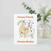 Furever Friends Human Societyはがき ポストカード (スタンド正面)