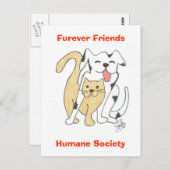 Furever Friends Human Societyはがき ポストカード (正面/裏面)