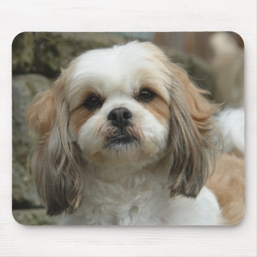 Furfaceのマウスパッド マウスパッド (正面)