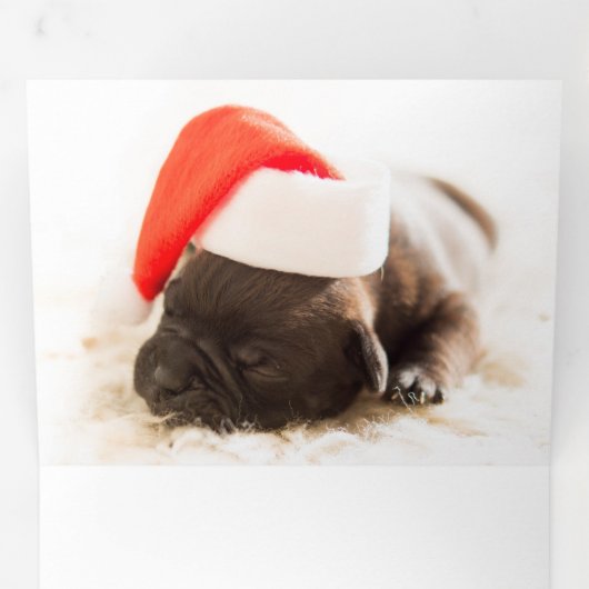 Furlalalala Dogをテーマにした写真のパーソナライズされたクリスマス 三つ折りクリスマスカード (内部最初)