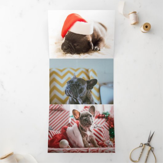 Furlalalala Dogをテーマにした写真のパーソナライズされたクリスマス 三つ折りクリスマスカード (内部)
