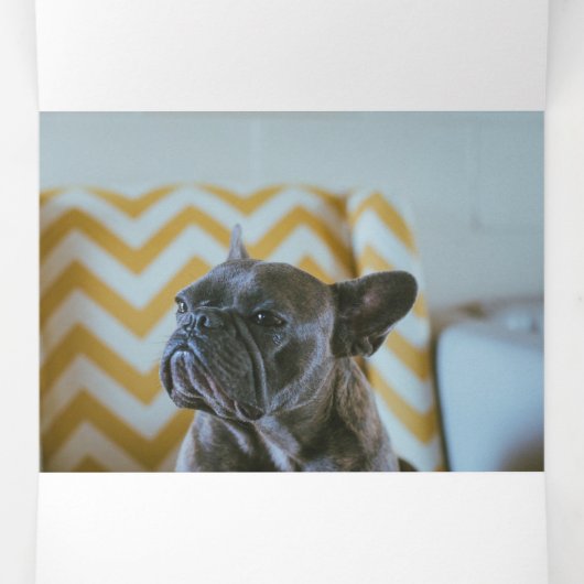 Furlalalala Dogをテーマにした写真のパーソナライズされたクリスマス 三つ折りクリスマスカード (内部中)