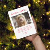 Furry And Bright ペットの犬の写真のクリスマス シーズンカード