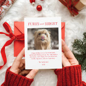 Furry And Bright ペットの犬の写真のクリスマス シーズンカード