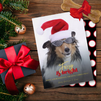 Furry and Bright Christmas Dogの写真 箔シーズンカード