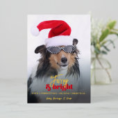 Furry and Bright Christmas Dogの写真 箔シーズンカード (立ち正面)