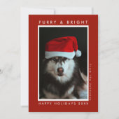 Furry and Bright Paw Print Red Pet Photo Christmas シーズンカード (正面)