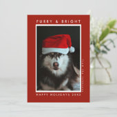 Furry and Bright Paw Print Red Pet Photo Christmas シーズンカード (スタンド正面)