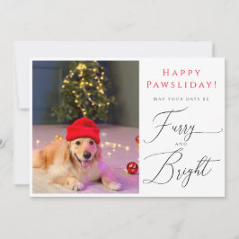 Furry and Bright Pet 3フォトホリデーおもしろいカード 招待状