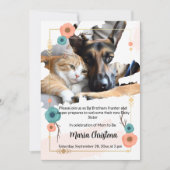 Furry Big Brothers Baby Shower Invitation 招待状 (正面)