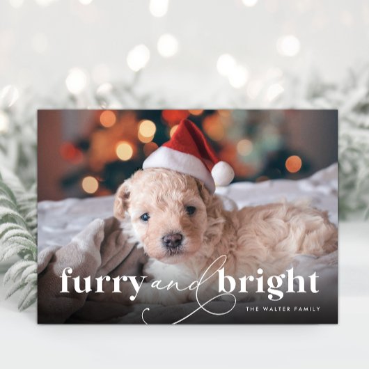 Furry & Brightフルフォトホリデーカード シーズンカード
