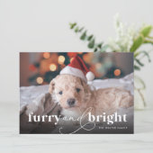 Furry & Brightフルフォトホリデーカード シーズンカード (スタンド正面)