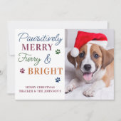 Furry & Bright パーソナライズされた Petカラフル Dog写真 シーズンカード (正面)