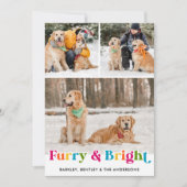 Furry & Bright パーソナライズされた Petカラフル Dog写真 シーズンカード (正面)
